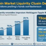 Bitcoin Market Liquidity Analysis on HIBT Vietnam