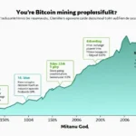 Bitcoin Mining Profitability Seasonality in Vietnam: An In-Depth Look