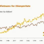 Bitcoin Price Correlation with Vietnam’s Inflation Rate