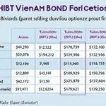 Analyzing HIBT Vietnam Bond Options Strike Prices