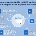 HIBT Crypto Exchange Withdrawal Methods: A Complete Guide
