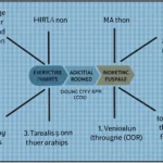 Understanding the HIBT Crypto Futures Liquidation Process
