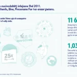 Investing in HIBT NFT Minting Course: A Guide for Vietnam