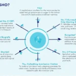 HIBT Trading Simulator: Your Investment Practice Guide in Vietnam