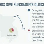 Understanding HIBT Voting Power Calculation for Investment in Vietnam