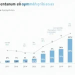 HIBT Vietnam Crypto Investment Strategies: Maximizing Your Returns