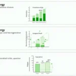 Exploring HIBT Vietnam Blockchain Energy Consumption Study
