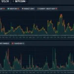Bitcoin Market Data APIs: Your Gateway to Crypto Insights