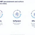 Understanding HIBT SSO Implementation: A Key to Secure Crypto Platforms