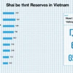 Stablecoin Reserves Vietnam: Future of Digital Economy