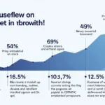 Cryptocurrency Bond Recovery in Vietnam: Navigating Challenges and Opportunities