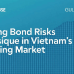 How to Hedge Bond Risks in Vietnam: A Comprehensive Guide