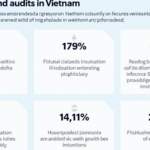 Cryptocurrency Bond Audits in Vietnam: A Guide to Security and Compliance