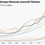 Understanding Stablecoin Reserves in Vietnam