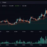 Bitcoin Market Data Analytics: Essential Insights for Investors