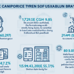 XRP SEC Case: Analyzing the Impact on Vietnam’s Crypto Landscape