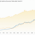 Bitcoin Price in Vietnam: Trends and Analysis