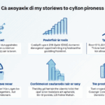 Crypto Trading Strategies Guide Vietnam